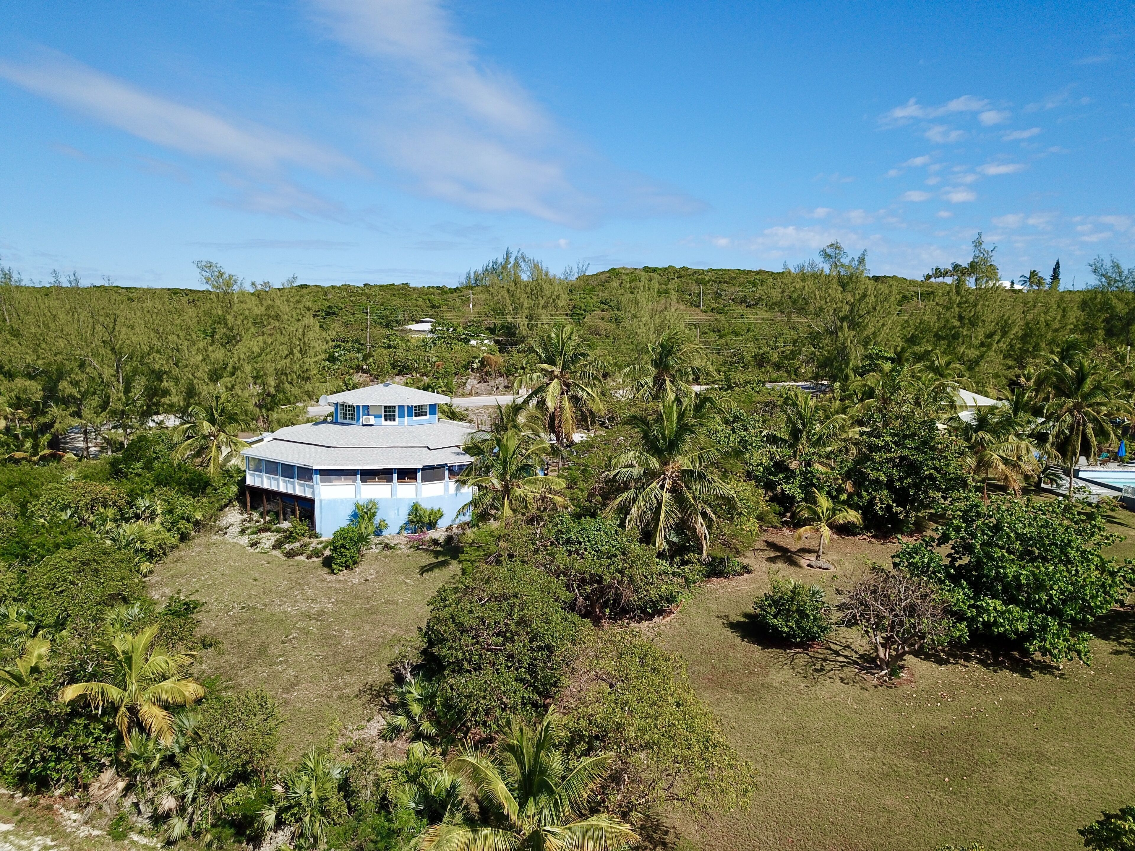 A large, blue, two-story building surrounded by dense tropical vegetation and palm trees.