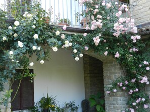 Exterior - Mamota B&B (Vesime)