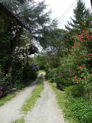 Property entrance - Mamota B&B (Vesime)