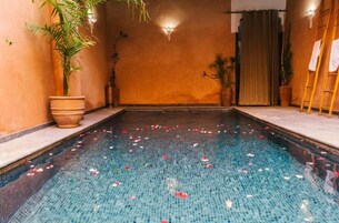 Outdoor pool, pool loungers
