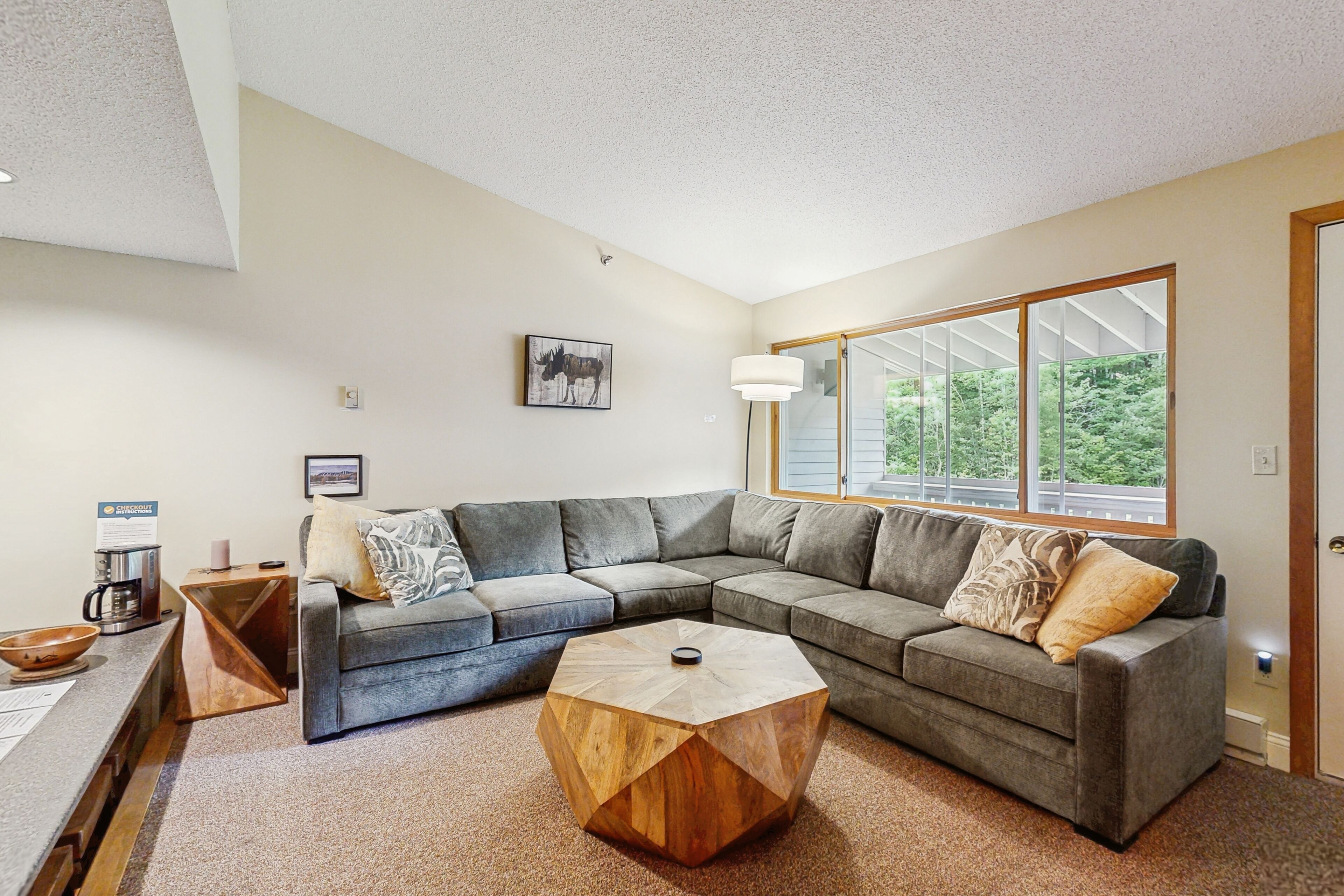 Televisión, reproductor de DVD y libros 