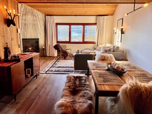 Smart TV, fireplace, books, music library