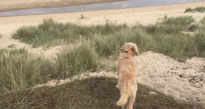 Chien chalet convivial moments de belle plage de Winterton