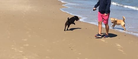 Beach nearby