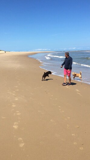 Beach nearby