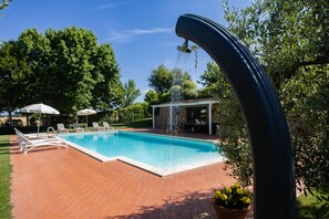 Outdoor pool - Design villa with large swimming pool in the heart of the Tuscan countryside (Cortona)