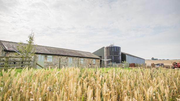 Ein ländliches Gehöft mit einem Steinhaus, einem Silo und einem Weizenfeld.