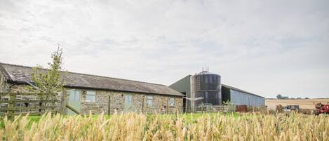 المنشأة من الخارج