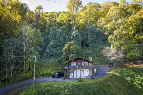 2-bedroom cabin just 8 minutes from Tail of the Dragon