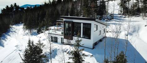 A modern cabin with large windows, surrounded by a snowy landscape and dense forest.