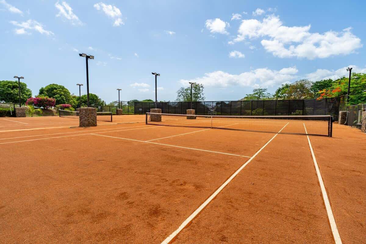 Un court de tennis avec un filet, entouré d’arbres et sous un ciel dégagé.