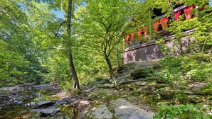 A forested area with a stream, a wooden bridge, and a building with red curtains. - Love Me Smore in Hochatown/Broken Bow,OK (Broken Bow)