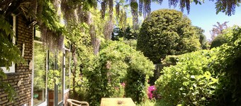 CLASSIC HOME: Oasis Near Amsterdam, Beach, Formula 1, +6 bikes