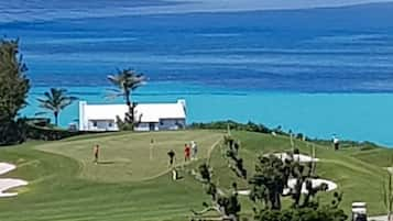 Swimming pool Panoramic with kitchenette | Water view