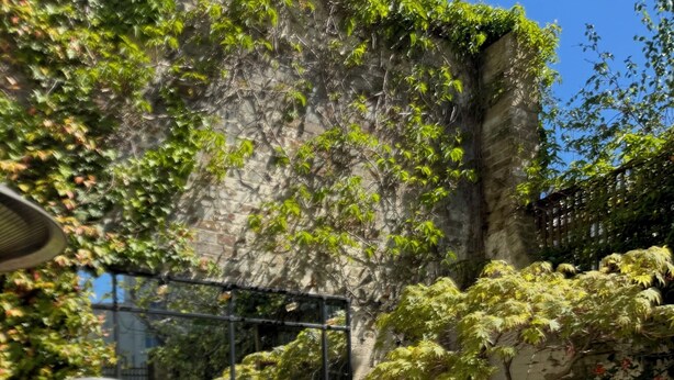 An outdoor seating area with wicker furniture, potted plants, and a stone wall backdrop.