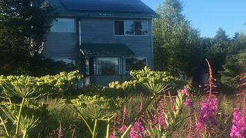 Detall de l'exterior