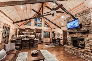 TV, fireplace, DVD player