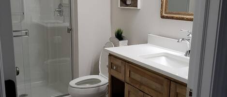 A bathroom with a glass shower enclosure, a toilet, a sink with a mirror, and wooden cabinets.