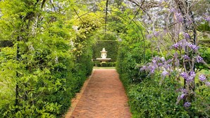 A brick pathway leading to a central fountain surrounded by lush greenery and flowering vines. - Old Mansfield Loft - gardens, gazebo and getaway (Bowral)