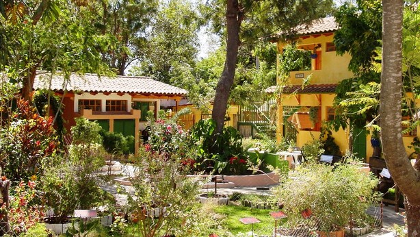 Une cour intérieure avec un bâtiment doté d’un toit en tuiles et d’une porte verte, le tout entouré d’une végétation luxuriante et de plantes en pot.