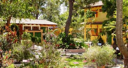 Perfect Work/Rest Garden cottage in Secure Compound at edge of downtown