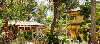 Perfect Work/Rest Garden cottage in Secure Compound at edge of downtown