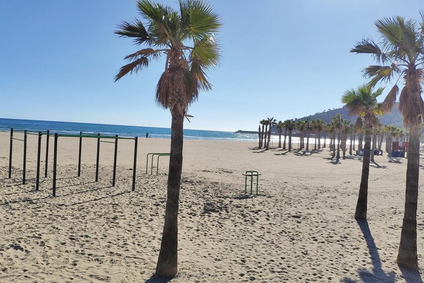 Vlak bij het strand, vissen