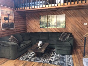 Smart TV, fireplace, books, stereo