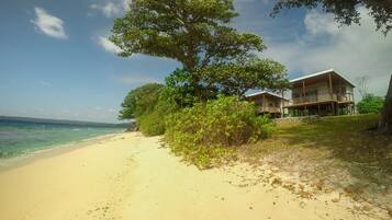 Ein Strandgrundstück mit einem großen Baum, einem Sandstrand und einem zweistöckigen Gebäude mit Balkonen.