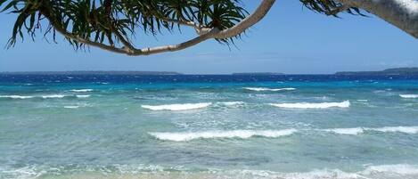 Privat strand, vit sandstrand, snorkling och kajakpaddling