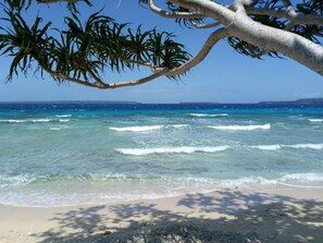 Ein Strand mit klarem türkisblauem Wasser, einem sandigen Ufer und einem Baum mit grünen Blättern im Vordergrund.