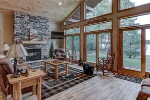 Smart TV, chimenea, reproductor de DVD y libros 