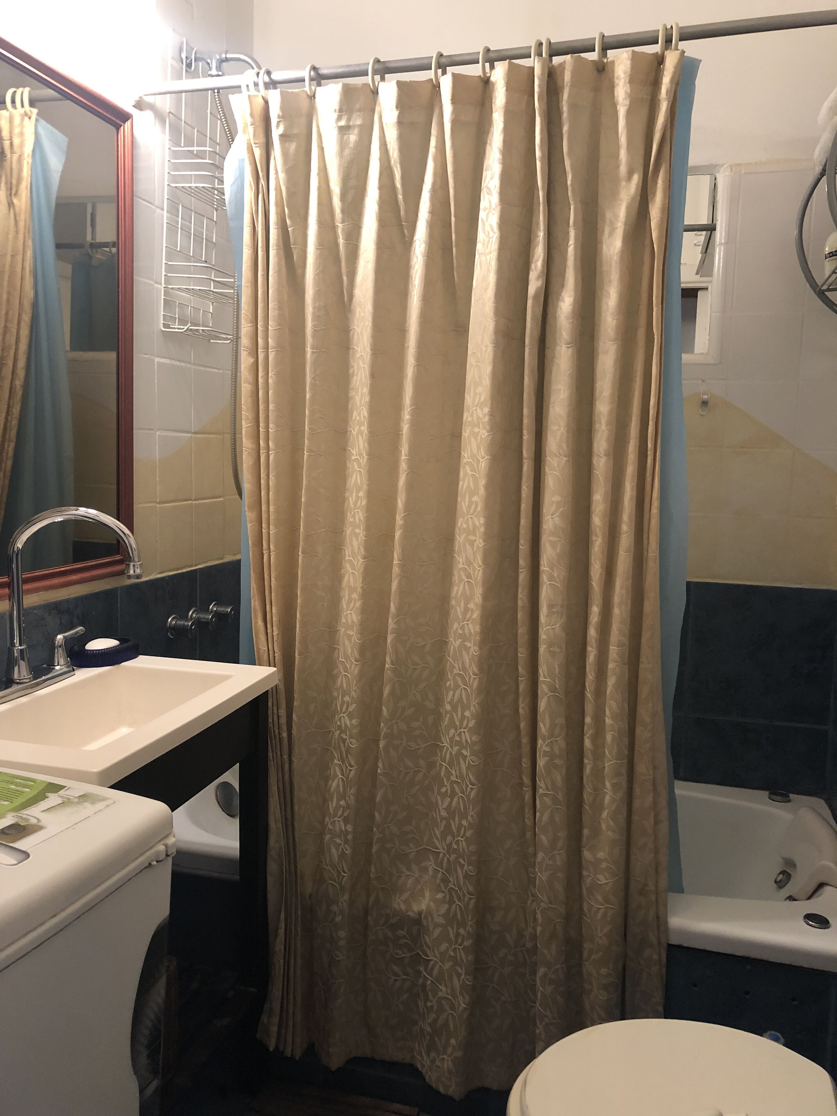 Combined shower/tub, jetted tub, hair dryer, towels