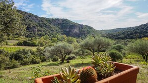 Ein Terrakotta-Topf mit Sukkulenten und einem Kaktus auf einem Balkon mit Blick auf eine gebirgige Landschaft.