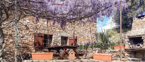 Restauration en plein air