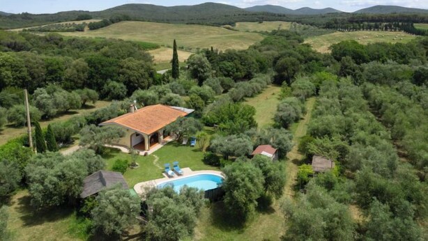 A villa with a swimming pool surrounded by olive trees and hills in the background. - Bouganville by Interhome (Bibbona)