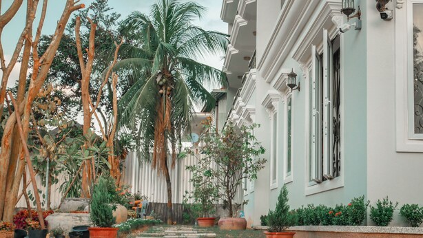A narrow pathway flanked by potted plants and palm trees leading to a building with white and green walls. - Intanou Boutique Hotel Kampot (Kampot)