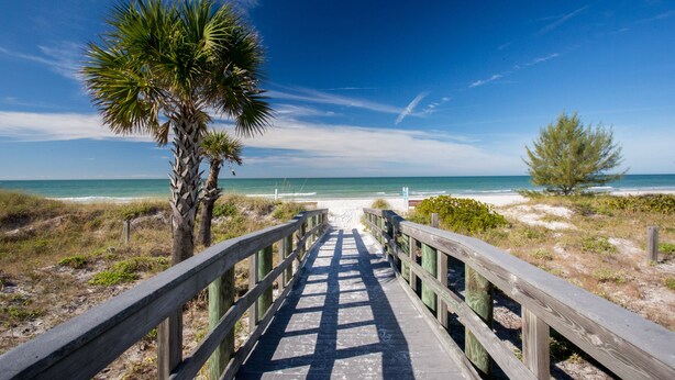 A wooden boardwalk leading to a beach with palm trees and a clear blue sky.