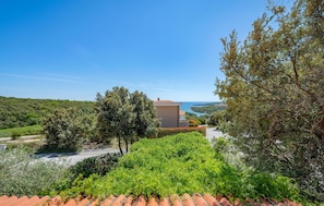 Property grounds - 3 bedroom beautiful home in Pavicini (Pavicini)