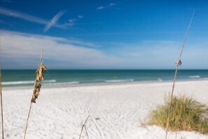 Beach nearby, sun loungers, beach towels - Gulf views and Intracoastal views - steps to beach. Elevator for easy access. (Indian Shores)