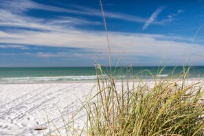 Beach nearby, sun loungers, beach towels - Gulf views and Intracoastal views - steps to beach. Elevator for easy access. (Indian Shores)