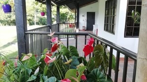 A covered outdoor area with a railing, potted plants, and a building in the background. - Finca Campestre J&J (Quimbaya)