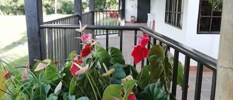 Cobertizo