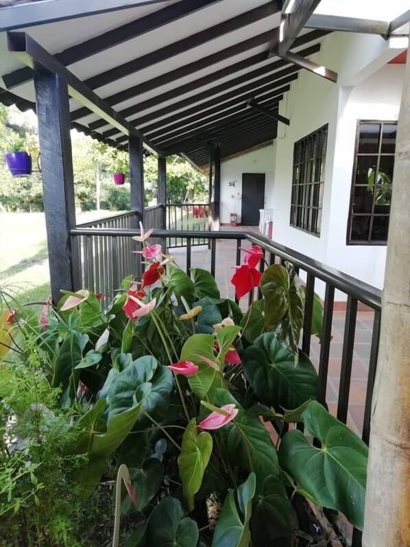 Porch - Finca Campestre J&J (Quimbaya)