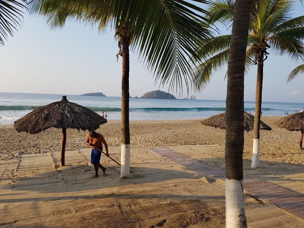 Une plage bordée de palmiers, un parasol en chaume et une personne qui se promène.