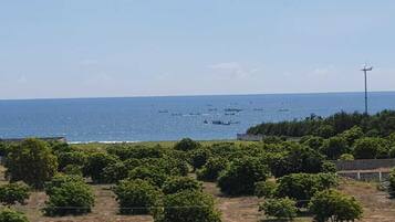 Paesaggio costiero con vista sul mare, alberi e una turbina eolica.