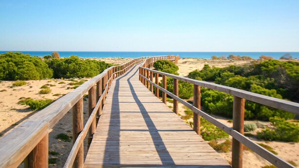 Una passerella di legno che conduce a una spiaggia con dune sabbiose e vegetazione.