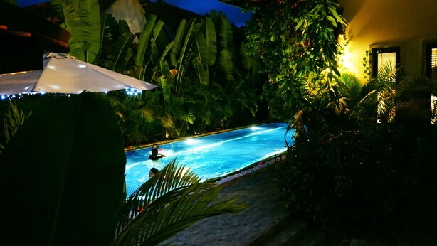 Une piscine entourée d’une végétation tropicale luxuriante et un bâtiment bien éclairé en arrière-plan.