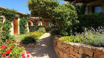 Terrein van de accommodatie