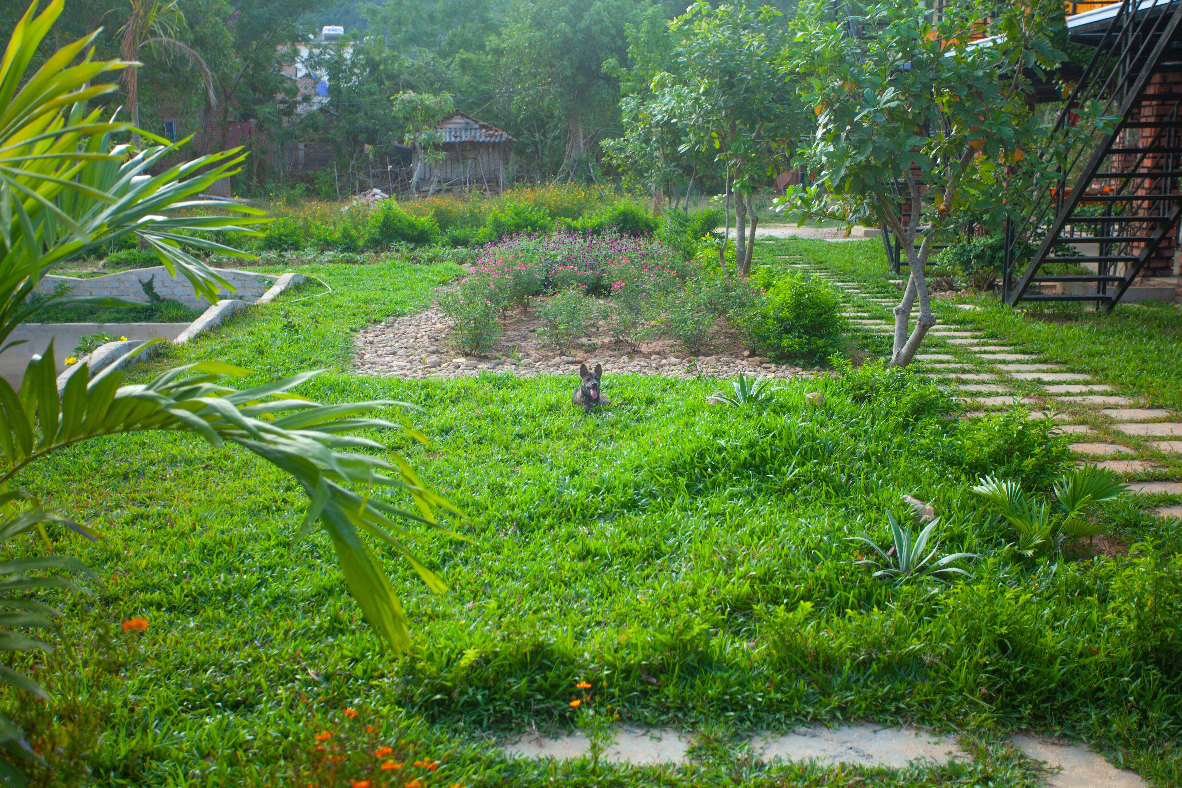 Un exuberante jardín con diversas plantas y un pequeño estanque.